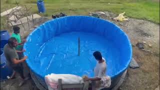 DIY fish farming in tarpaulin Tanks RAS System [upl. by Brahear362]