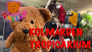 Nallen på Kolmården Tropicarium [upl. by Rabaj]