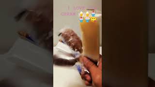 AMAZING GELATELLI FAMILY EDITION ICE CREAM CRE trendingasmrdeliciousviralchocolateshort [upl. by Mcdade]