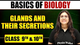 Basics of Biology  Glands And Their Secretions  Class 10th  Pure English [upl. by Akemal667]