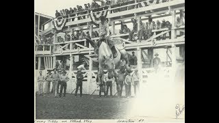 Which Way a Hall of Fame Bucking Horse by Ted A Moomaw [upl. by Lerret]