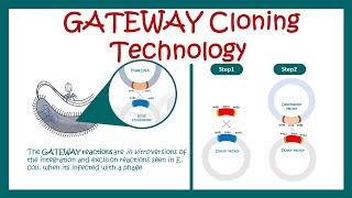 Gateway cloning  How does Gateway cloning work  What are the advantages of Gateway cloning [upl. by Lipman]