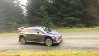 Wales Rally GB 2017 [upl. by Jeggar]