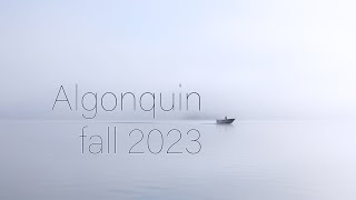 Algonquin fall 2023 [upl. by Alemat]