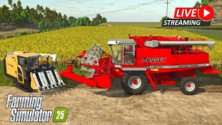 LIVE  Farming Simulator 25  Hutan Pantai Lets Play 1 [upl. by Wareing740]