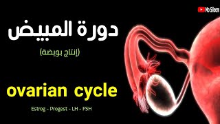 أسهل شرح لفهم الدورة الشهرية في المبايض ❤️🩸👌 Ovarian cycle ❤️ [upl. by Gridley]