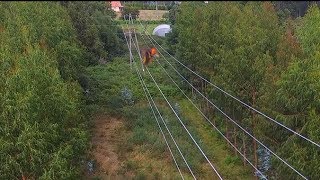 avispa asiatica velutina ataca dron  Phantom 3 [upl. by Rehpotisrhc56]