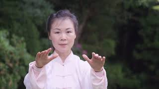 Tai Chi 24 form by Master Helen Liang YMAA Taijiquan artistic preview of instructional video [upl. by Ellevart]