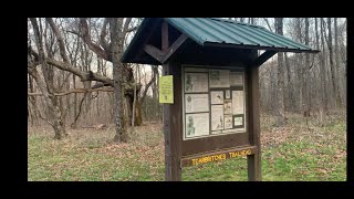 Cohutta Wilderness Tearbritches Trail April 2021 [upl. by Lawson665]