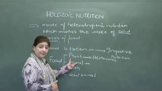 Holozoic Nutrition  Science  Biology  CBSE Class 10th [upl. by Bertle]