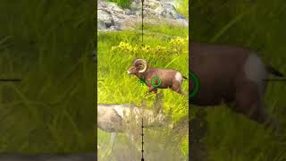 shortsvideo man 🆚️ desert bighorn sheep hunting huge animals trending 🐏🎯 [upl. by Adnoryt]