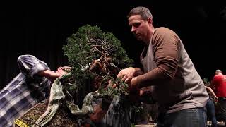 Bonsai demo by Ryan Neil [upl. by Roley]