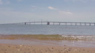 What condition are the Bay Bridges in Heres what a report from the MDTA says [upl. by Inram]