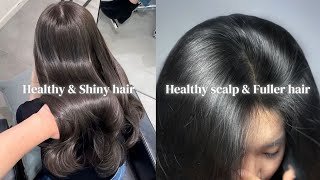 Complete Guide to HAIR CARE Routine for Healthy Hair amp Scalp for ALL Hair Types amp Hair Porosity [upl. by Eirrej]