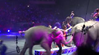 Ringling Bros and Barnum amp Bailey Circus 2013 Phoenix 6 [upl. by Avahc379]