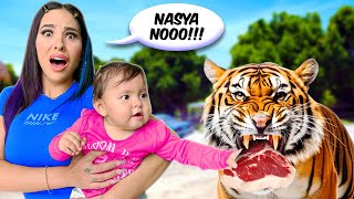 NASYA POR PRIMERA VEZ EN UN ZOOLÓGICO Alimento animales salvajes 😰 [upl. by Ambrogio763]