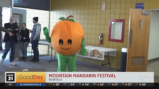 The 31st Annual Mountain Mandarin Festival 9am [upl. by Yanffit]