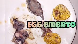 Cracking egg embyo balut egg asmr [upl. by Black]