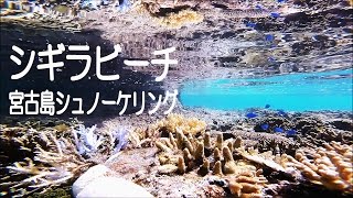 宮古島シュノーケリング【シギラビーチ】Gopro撮影 [upl. by O'Carroll601]