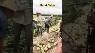 Rural ChinaChina village life china chinalife ruralchina [upl. by Lipkin226]