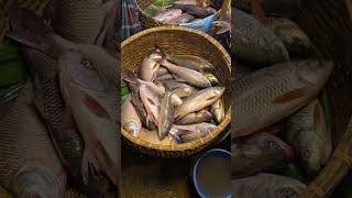 Fresh fish cholonbil authentic viralvideo [upl. by Enawyd842]