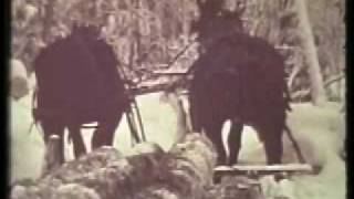 Winter logging in Whitefield Maine c 1948 by Chester Chase [upl. by Tadio373]