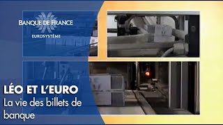 La vie des billets de banque  Banque de France [upl. by Eirrak778]