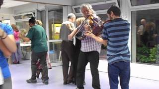 Valse Suédoise  Duo Violon à Folk en Seine  Paris 2015 [upl. by Lirbij940]