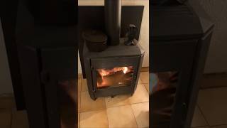 Cooking bœuf bourguignon on the woodstove 🔥🤤 ASMR winteriscoming countrylife [upl. by Niela881]