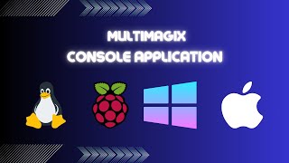 MultiMagix console app demo [upl. by Eimat]