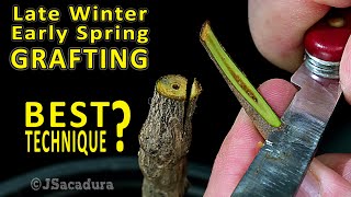 BEST GRAFTING TECHNIQUE in early SPRING  Grafting Fruit Trees [upl. by Atul400]