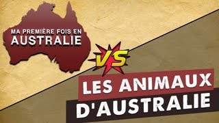 Ma Première Fois en Australie VS les animaux dAustralie [upl. by Cloe455]