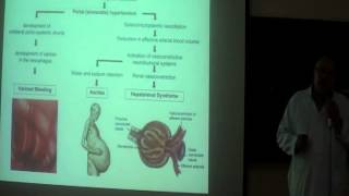 Hepatorenal syndrome prof Hasan El Asklany [upl. by Dranek379]