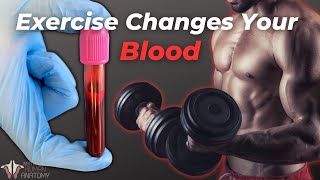 How Your Blood Changes With Exercise [upl. by Leopoldine856]