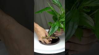 MUY FÁCIL Sistema Hidropónico en Casa  Cultivo Hidropónico Casero  Hortipot  HORTITEC [upl. by Ardnal]