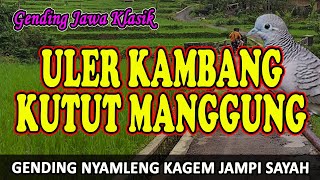 Gending Jawa Klasik Uler Kambang Kutut Manggung  Uyon uyon Gending Kagem Jampi Sayah [upl. by Gualterio778]