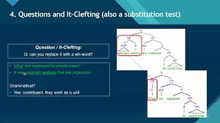 How to Do Constituent and Complement Tests [upl. by Hyrup]