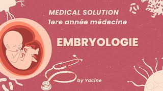 Embryologie part 1  Introduction [upl. by Kam]