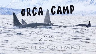 ORCA CAMP 24 [upl. by Tihom]