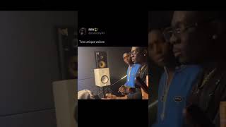 Bella Shmurda x Terry Apala are Cooking up something in the Studio [upl. by Hermon204]