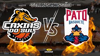 NBB 2425  CAXIAS DO SUL BASQUETE X PATO BASQUETE  AO VIVO  31102024 [upl. by Fonzie686]