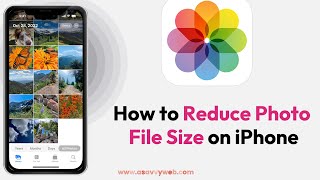 How to Reduce Photo Size on iPhone  iOS 18 [upl. by Ahsiyk]