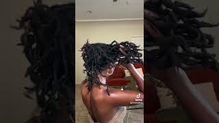 2 and half years locd dreadlocks locstyles locjourney [upl. by Dougal]