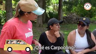 ¿QUÉ ES CARPOOLING [upl. by Suoivatnod841]