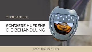 Schwere Hufrehe Hauptfilm – Hufrehe Hufbeinsenkung Ausschuhen – die Behandlung [upl. by Kallman]