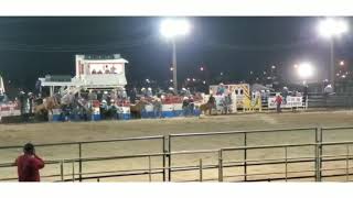 3 of a kind wild horse racesacaton AZ fair 2020 [upl. by Urba472]