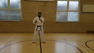 Shotokan Karate Basic Techniques for beginners [upl. by Tonie]