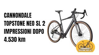 considerazioni Cannondale Topstone neo sl2 [upl. by Luoar768]