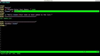 Writing your First Shell Script for Linux Tutorial [upl. by Nitsirk646]