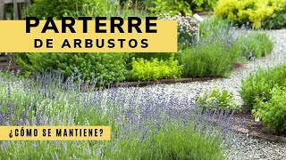 Mantenimiento básico del jardín parterre de arbustos  Bricomanía  Jardinatis [upl. by Cleres]